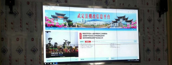 武定县案例